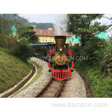 New design high quality Amusement Ourdoor Track Train